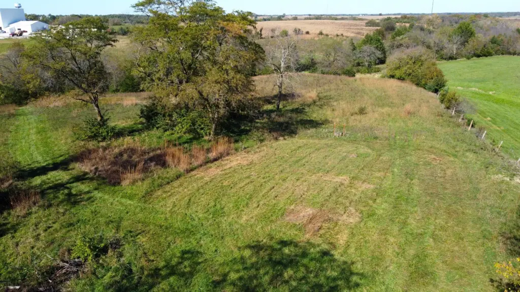 Picture 25