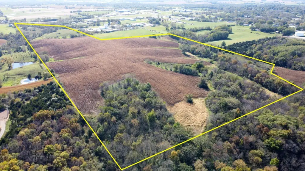 Picture 4