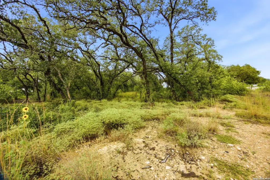 Picture 24