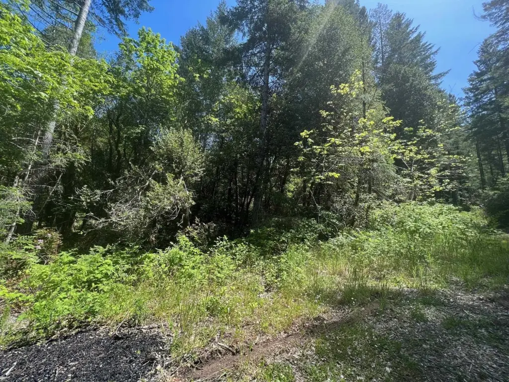 Picture 9