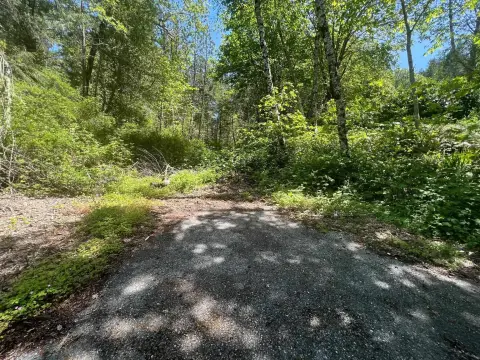 Undeveloped Wilderness Acreage in Gasquet