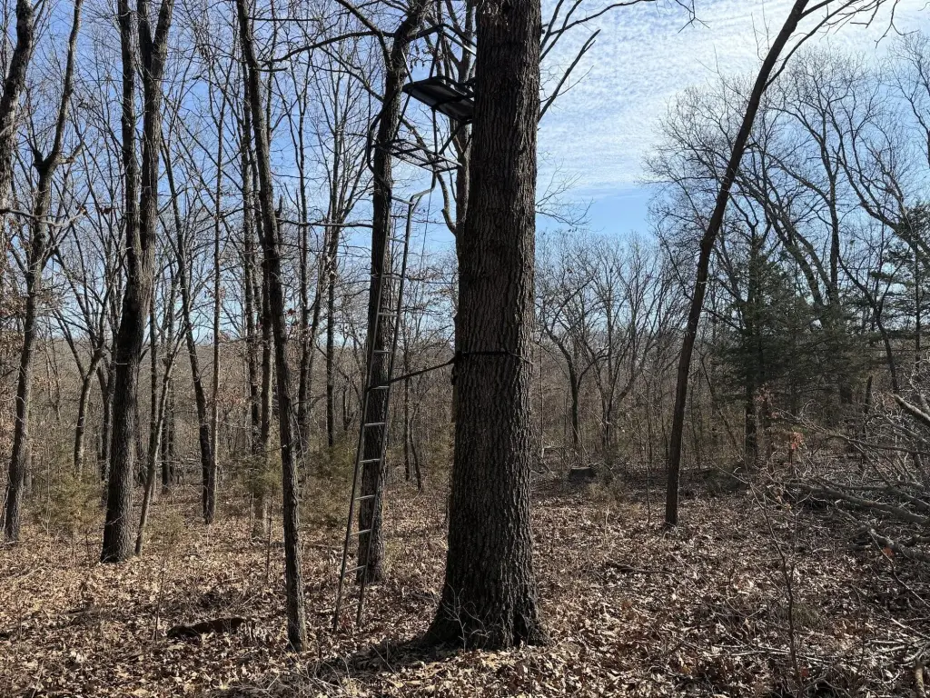 Picture 17