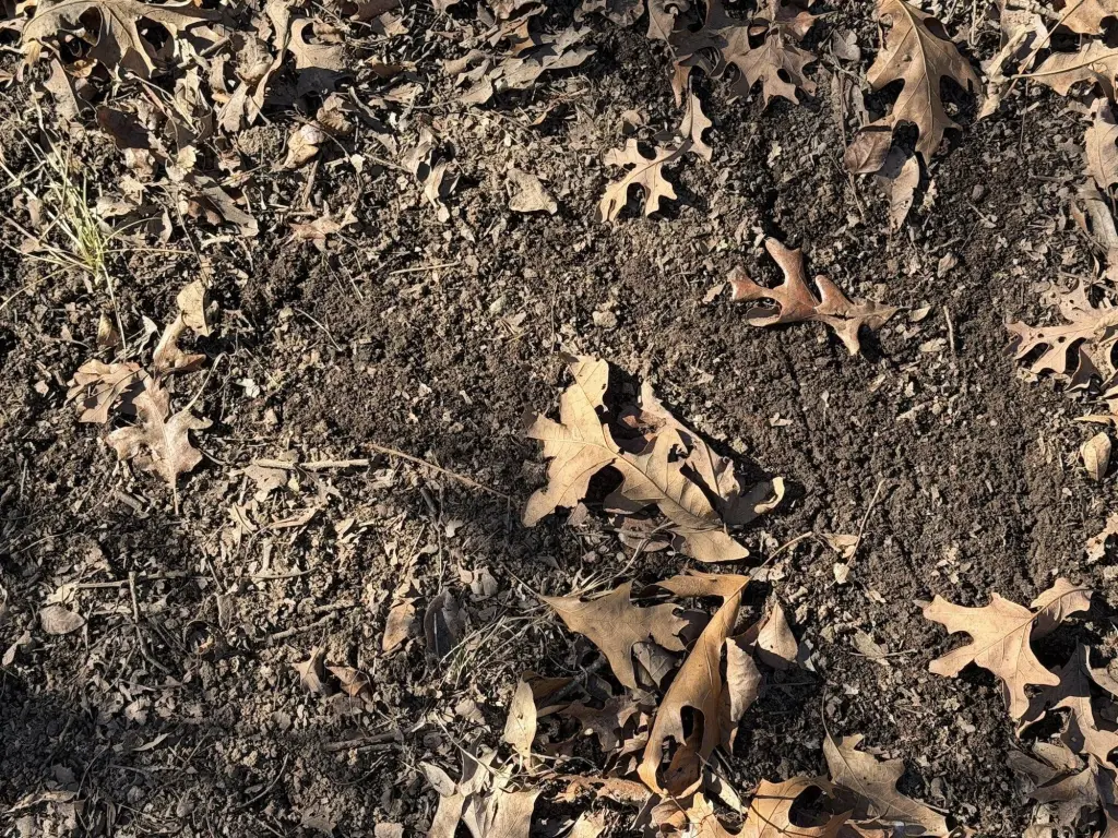 Picture 38