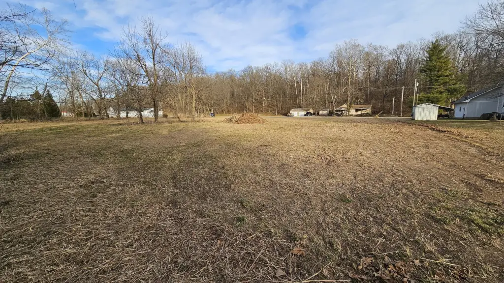 Picture 3
