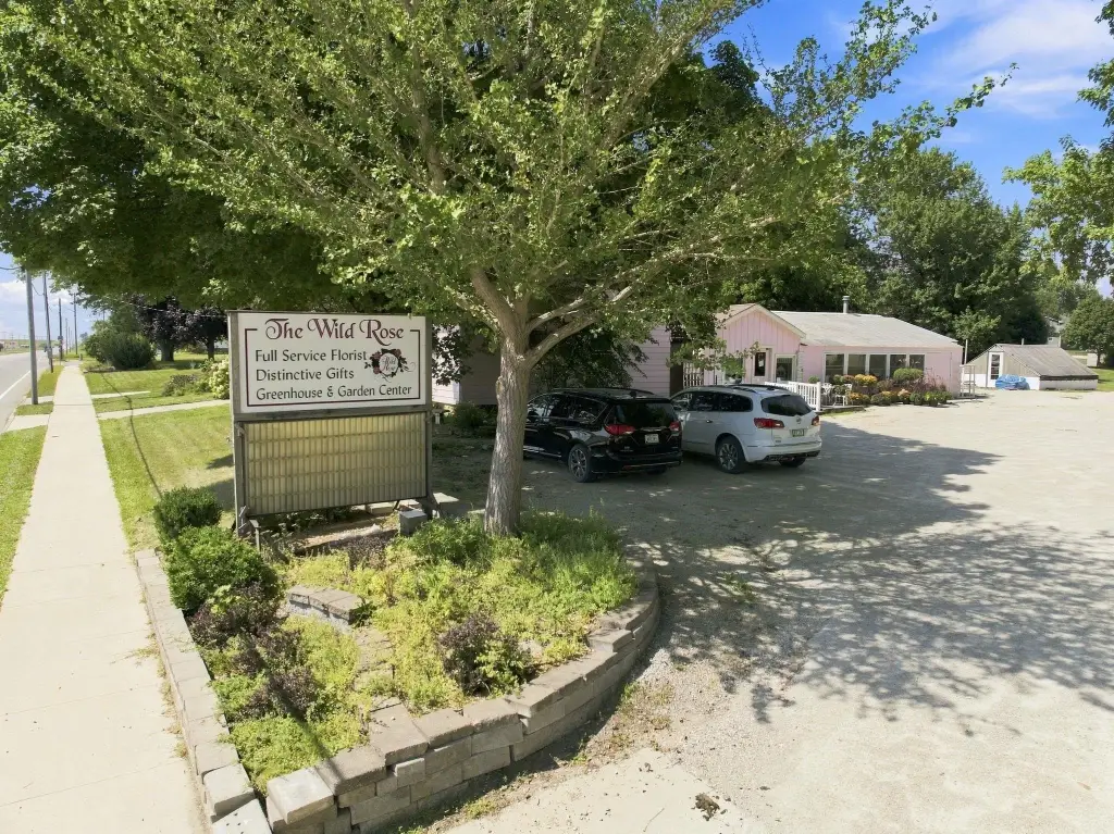Picture 36