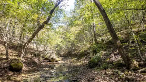 67 Acres Hunting & Recreational Land