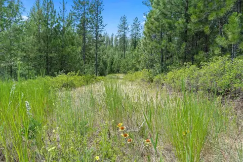 Mica WA Land For Sale