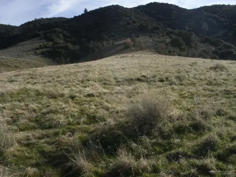 Tehachapi View Lot For Sale