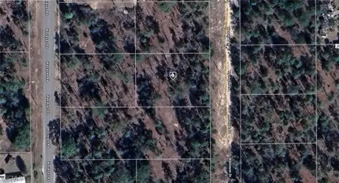 Keystone Heights Vacant Land