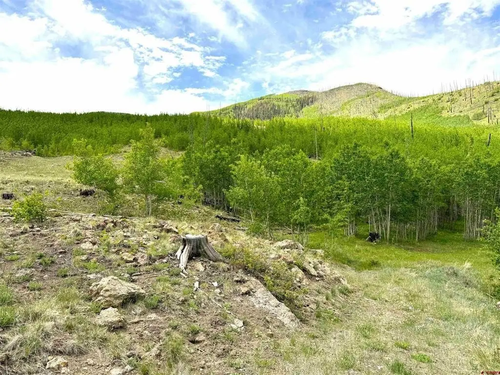 Picture 4