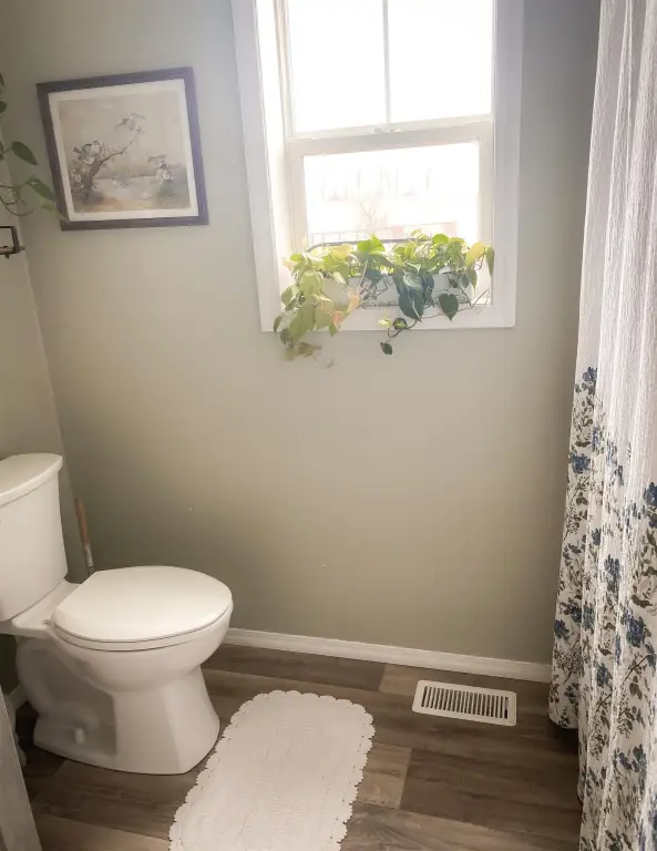 Picture 22