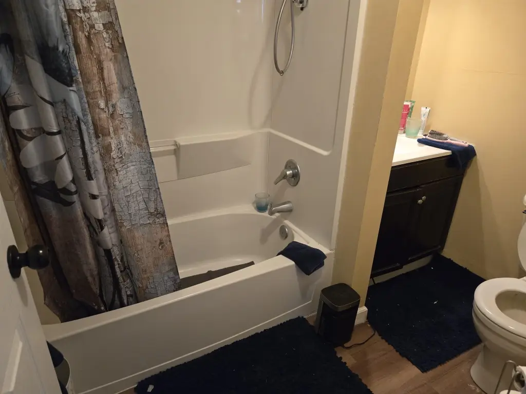 Picture 9