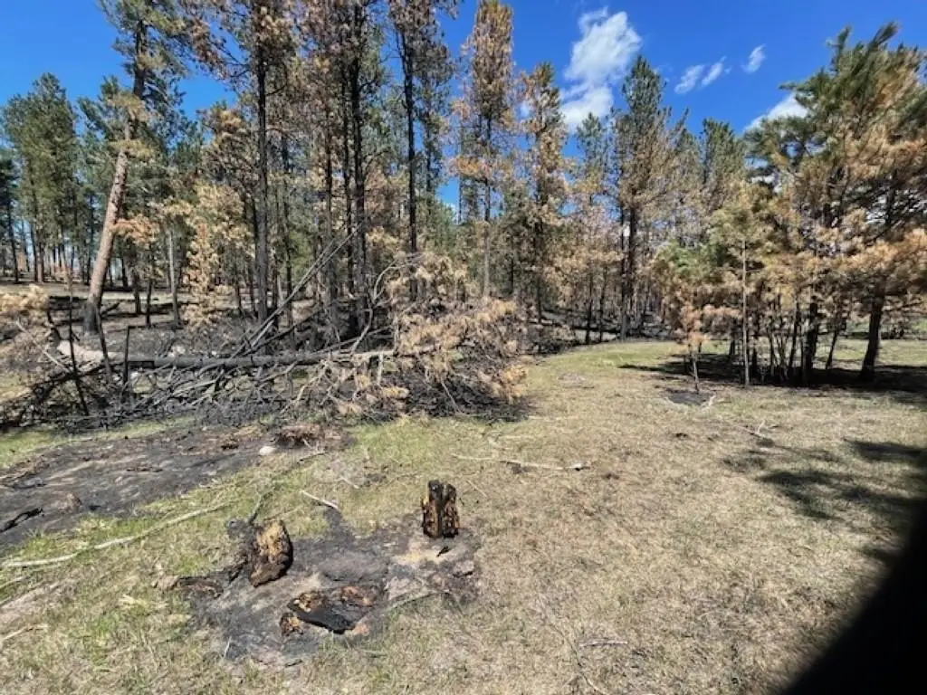 Picture 21