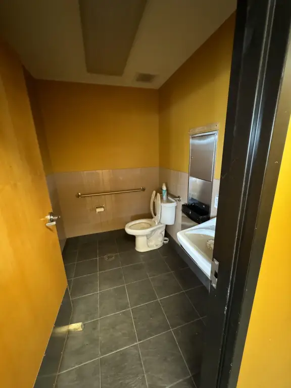 Picture 11