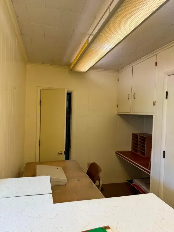 Picture 5