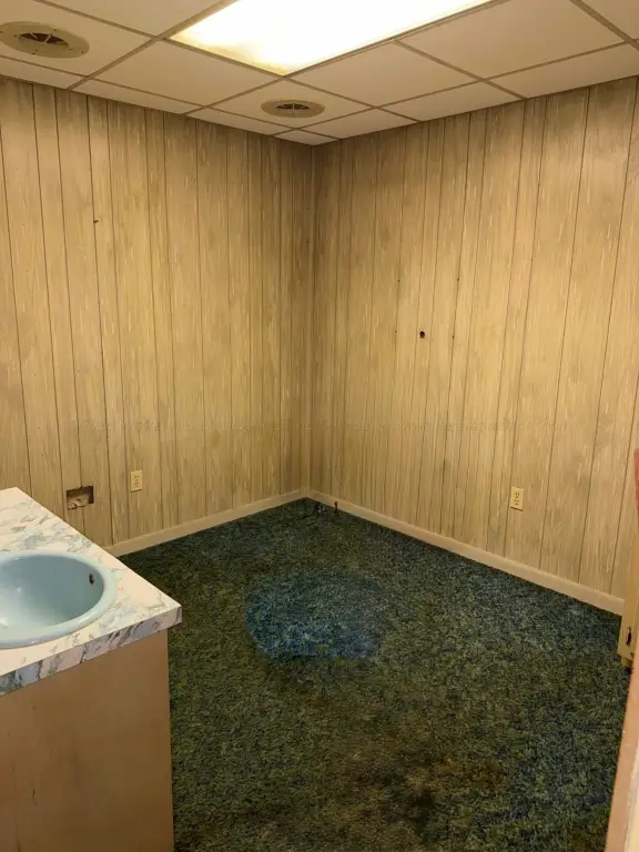 Picture 11