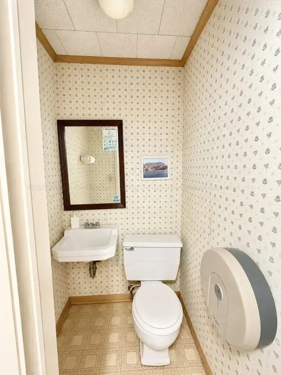 Picture 15