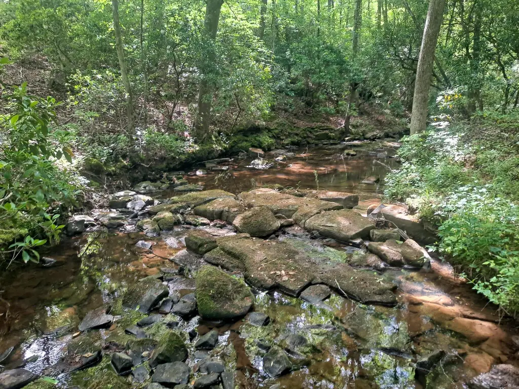 Picture 2