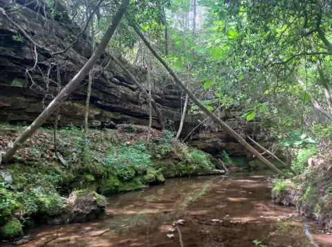 Waterfront Land on Clifty Branch
