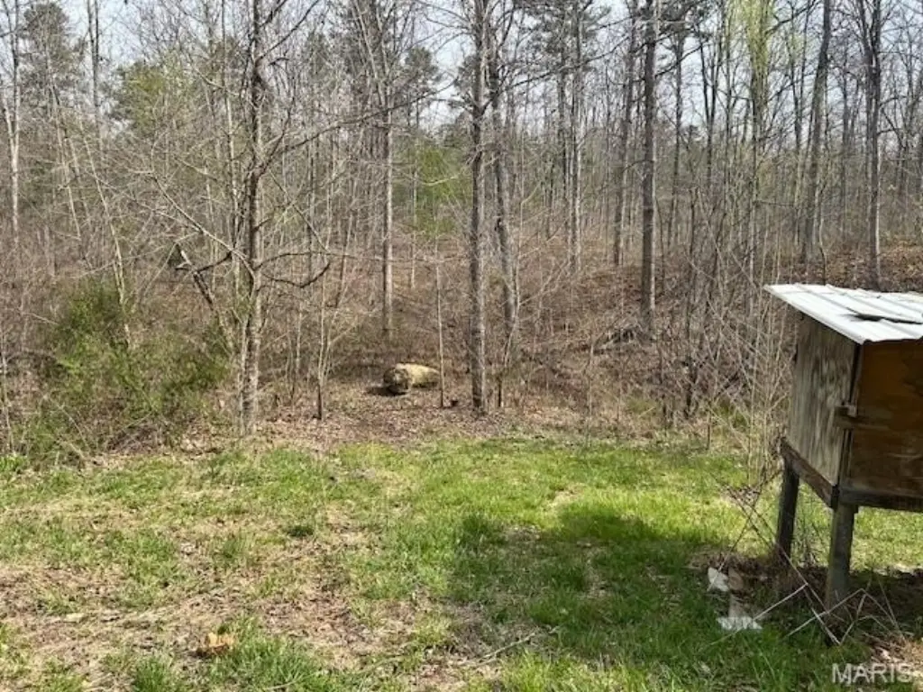 Picture 8
