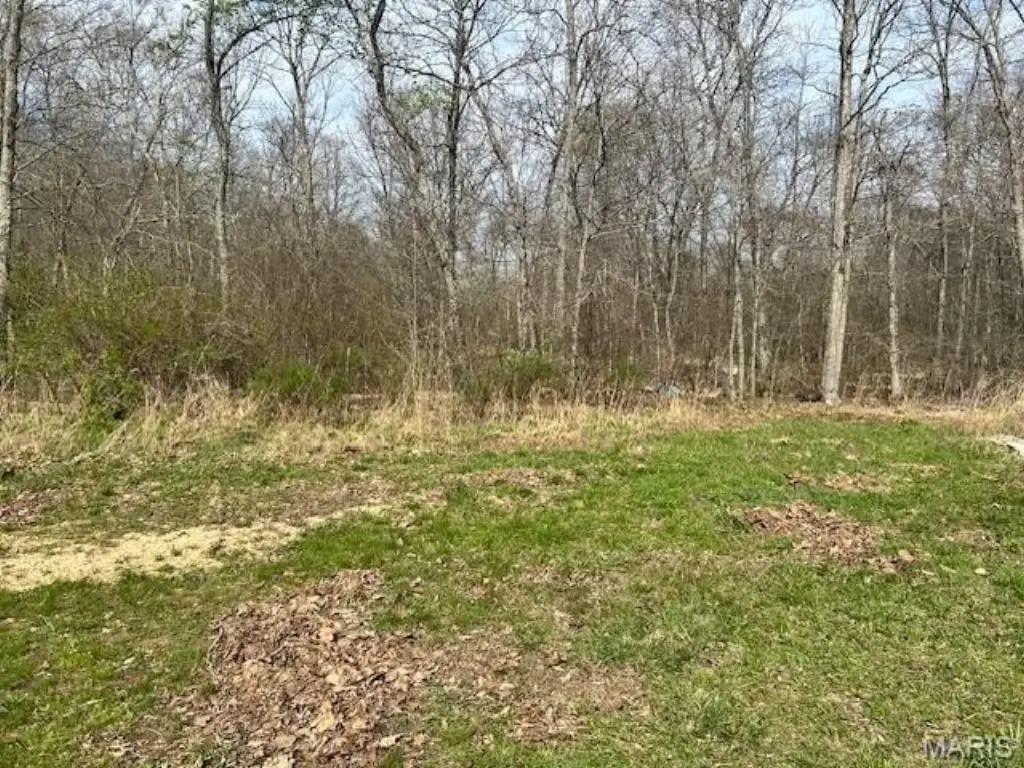 Picture 6