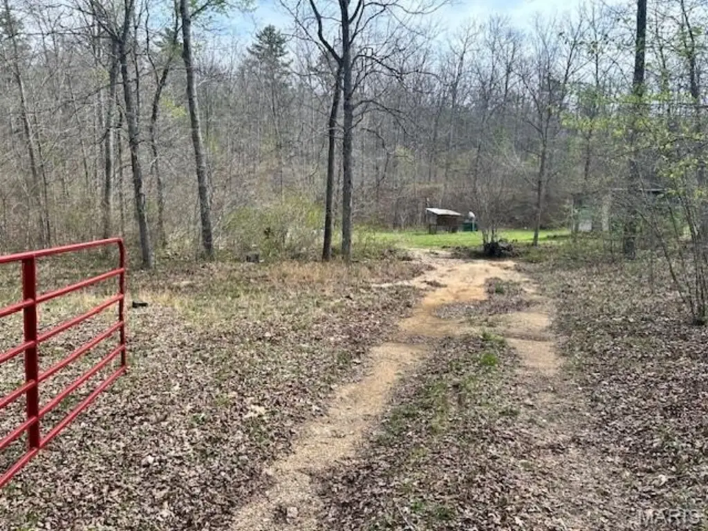 Picture 13