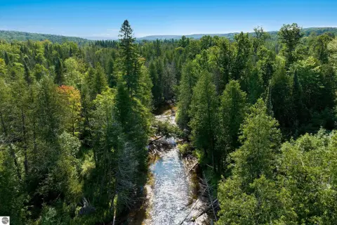 80 Acres Wooded Land Bellaire