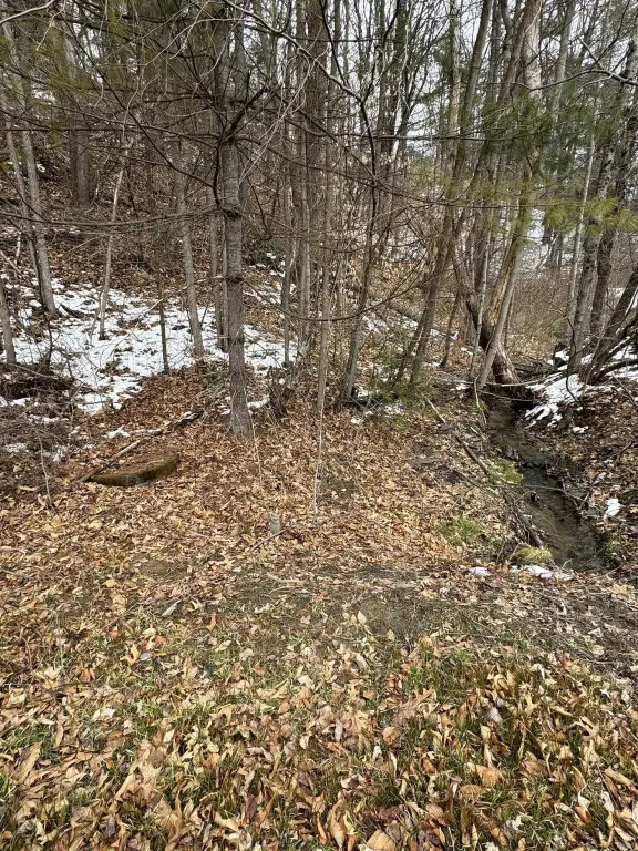 Picture 27