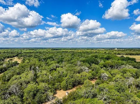 Wooded Hunting Land with Water Wells