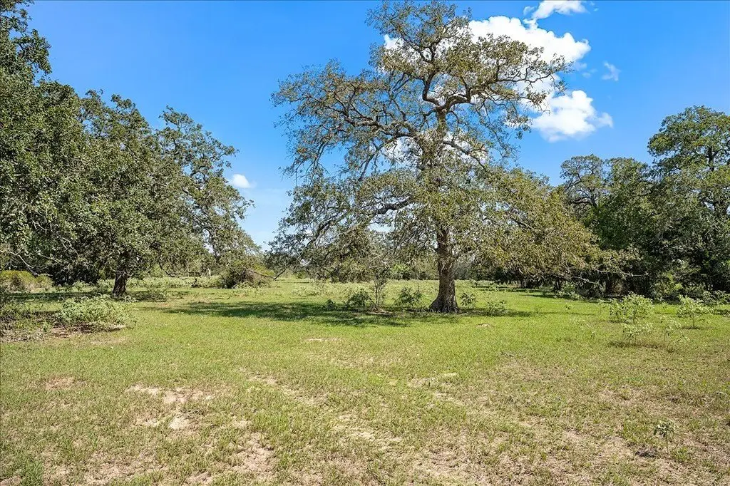 Picture 21