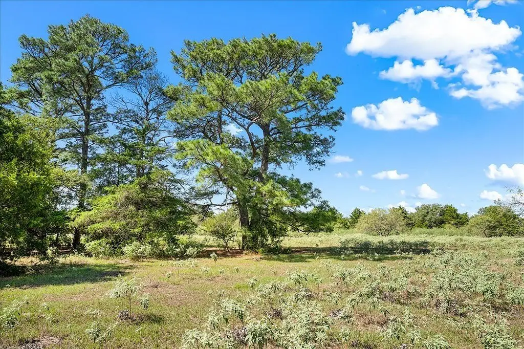 Picture 20