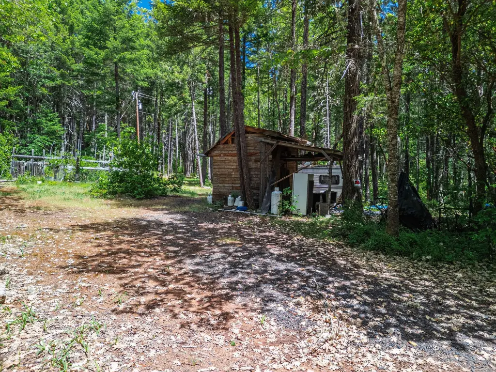 Picture 23