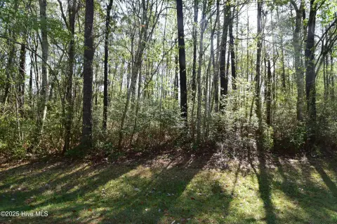 Residential Land in New Bern
