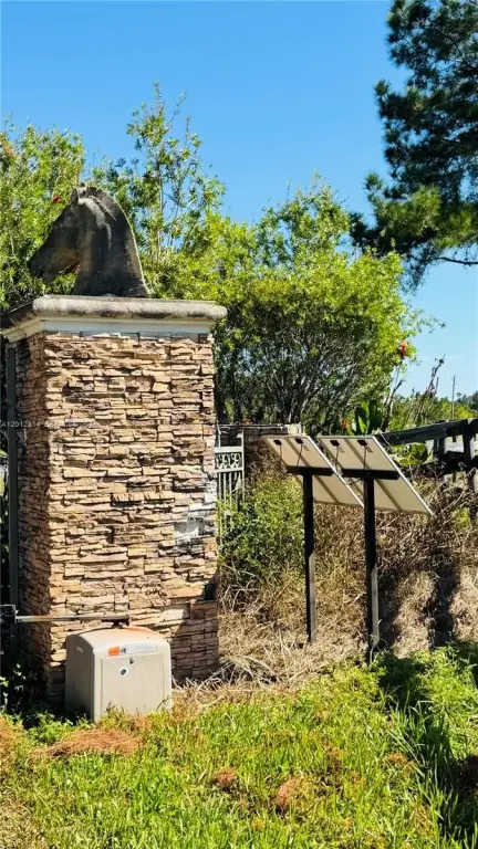 Picture 5