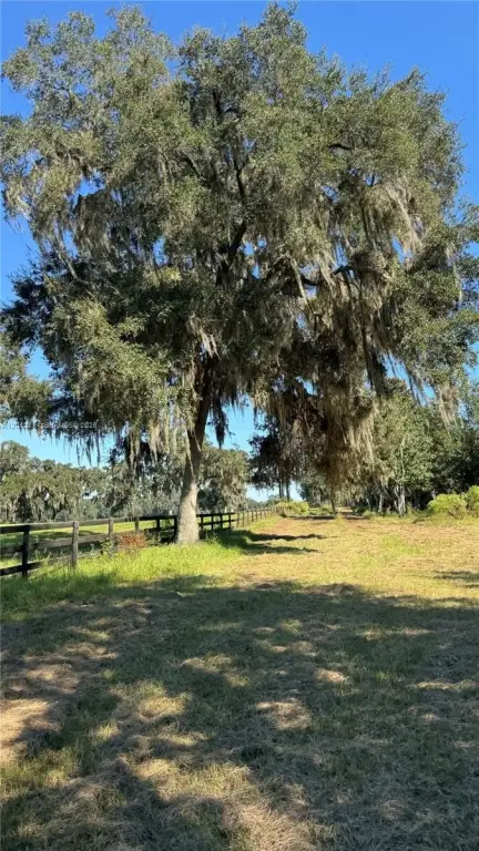 Picture 46
