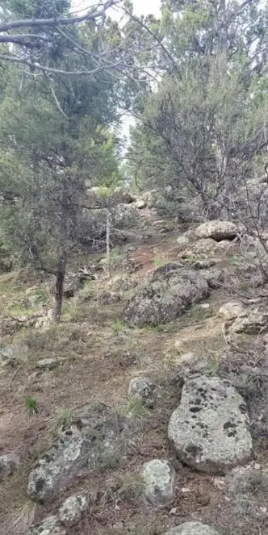Picture 21