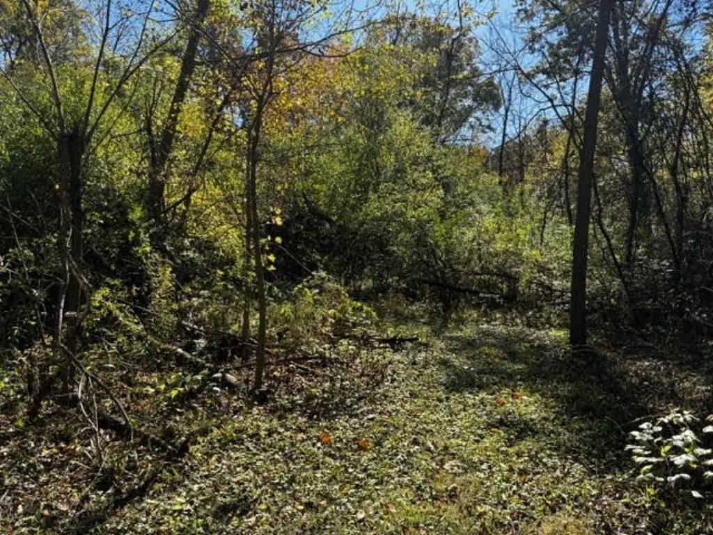 Picture 11
