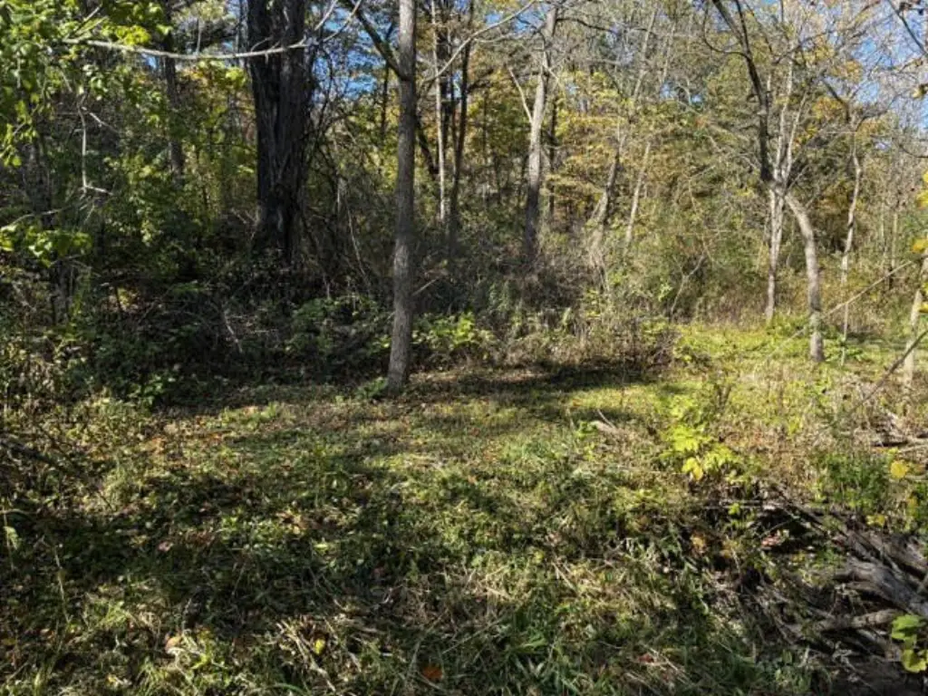 Picture 9
