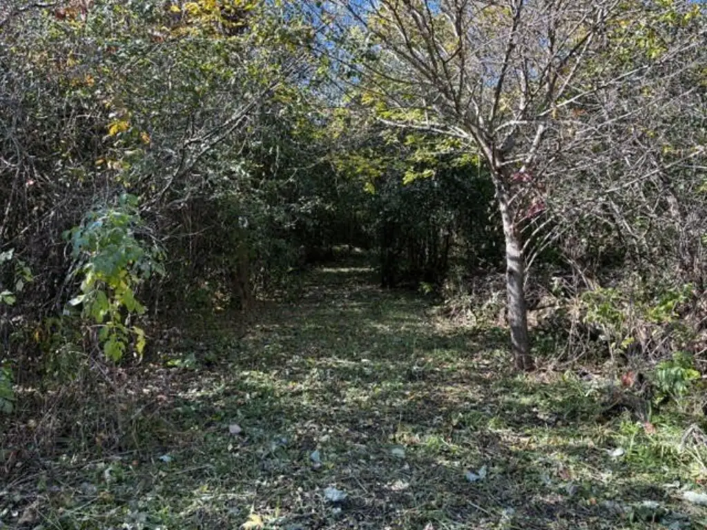 Picture 13