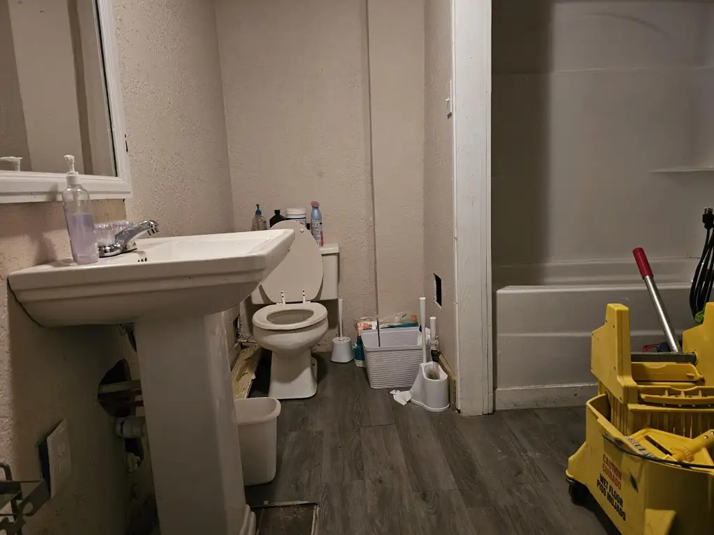Picture 25