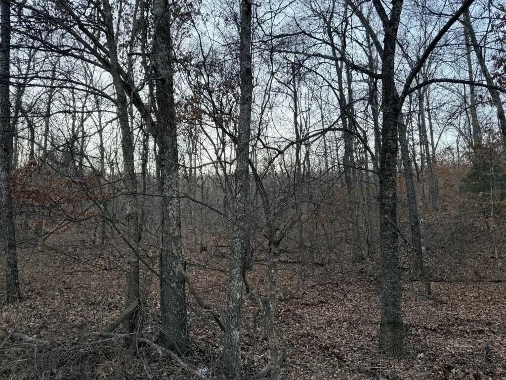 Picture 2