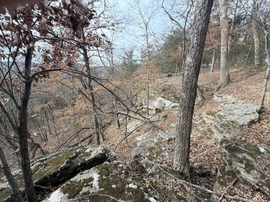 Picture 14
