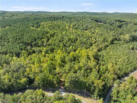 Wooded Hunting Land