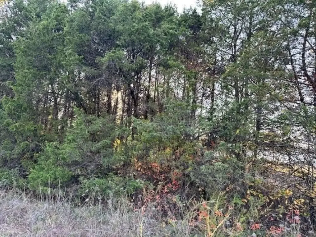 Picture 11