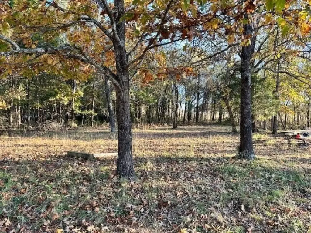 Picture 17