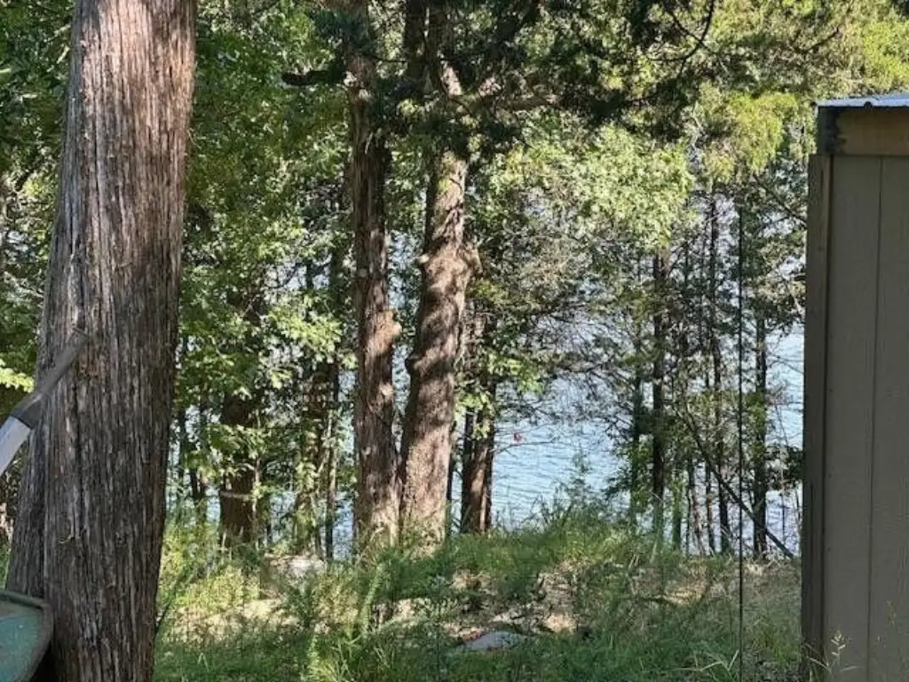 Picture 3