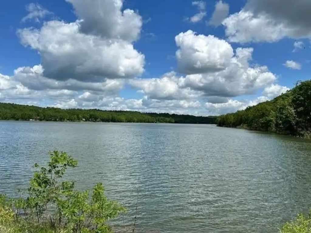 Picture 8