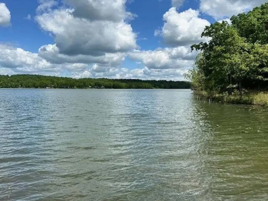 Picture 5