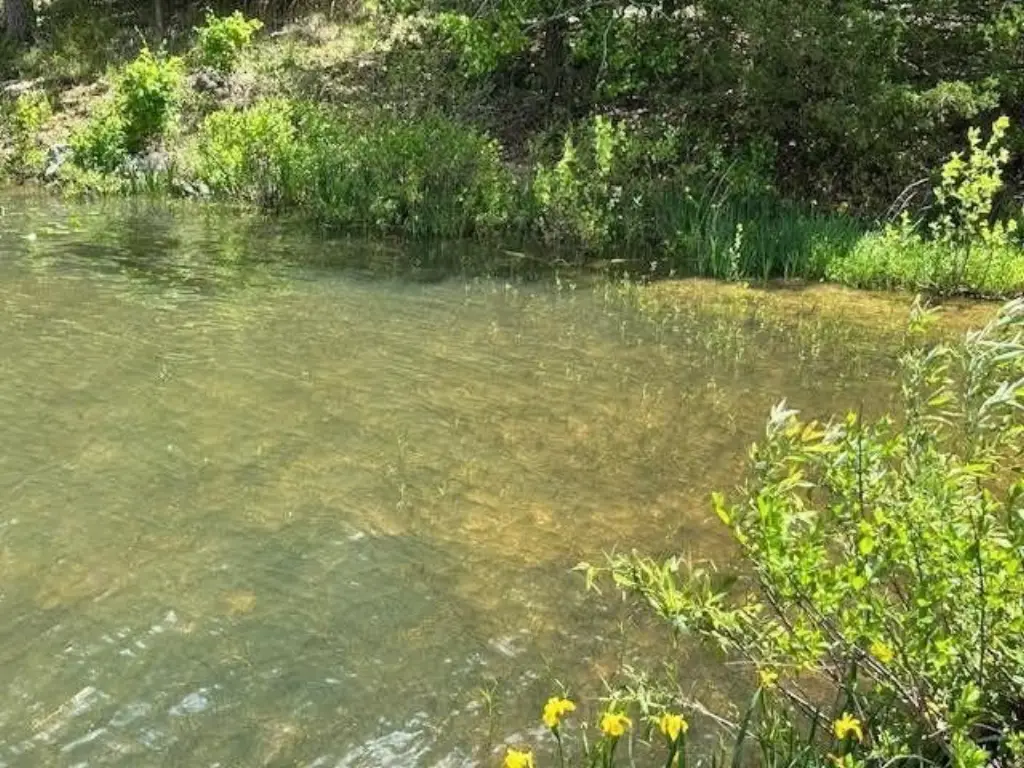 Picture 3