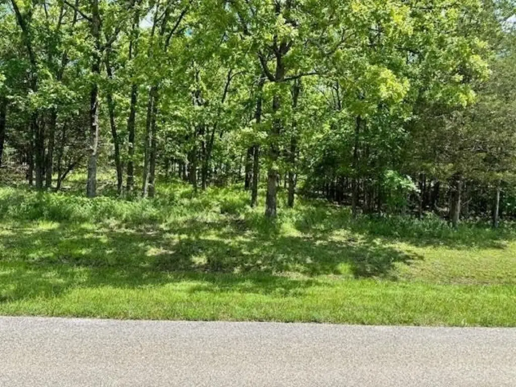 Picture 5